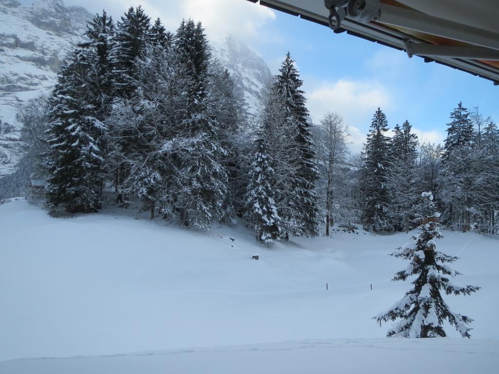 Mom - Alpine Boutique Apartments, Grindelwald Gletscher, Eiger View Terrace Studio Cameră foto