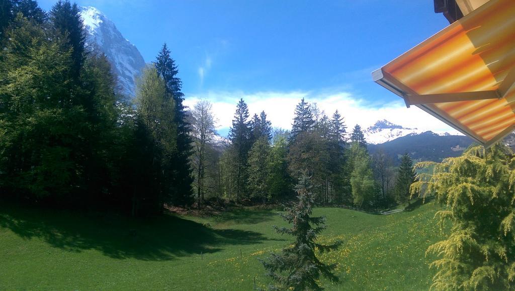 Mom - Alpine Boutique Apartments, Grindelwald Gletscher, Eiger View Terrace Studio Cameră foto
