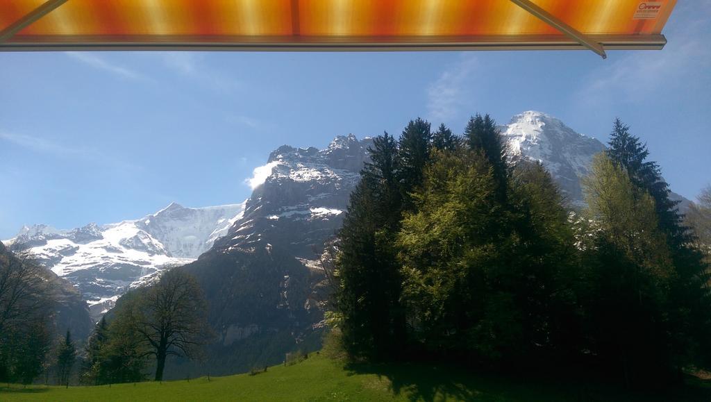 Mom - Alpine Boutique Apartments, Grindelwald Gletscher, Eiger View Terrace Studio Cameră foto