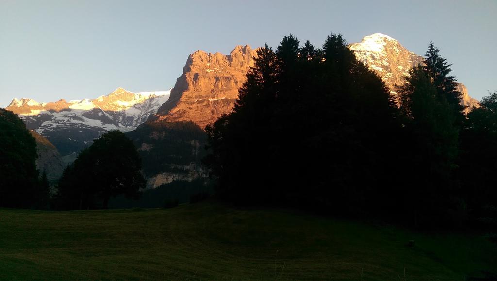 Mom - Alpine Boutique Apartments, Grindelwald Gletscher, Eiger View Terrace Studio Cameră foto