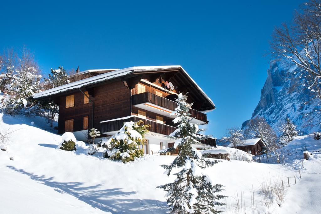 Mom - Alpine Boutique Apartments, Grindelwald Gletscher, Eiger View Terrace Studio Cameră foto