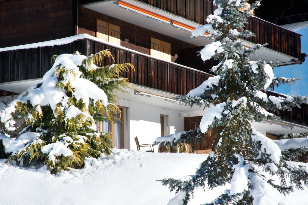 Mom - Alpine Boutique Apartments, Grindelwald Gletscher, Eiger View Terrace Studio Cameră foto