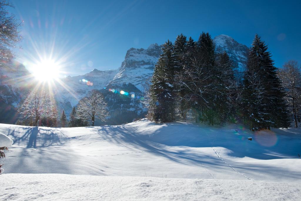 Mom - Alpine Boutique Apartments, Grindelwald Gletscher, Eiger View Terrace Studio Cameră foto